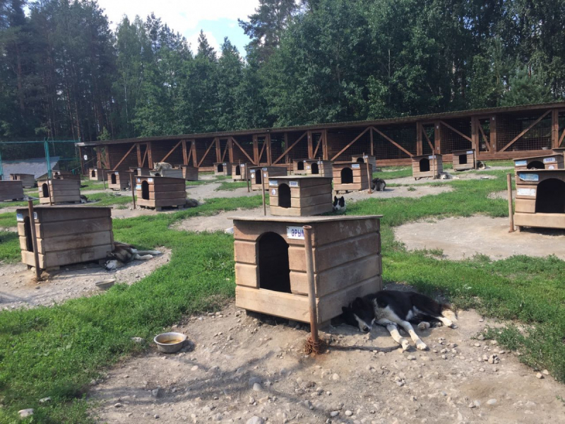 Кольский-Кандалакшский залив июль 2018.