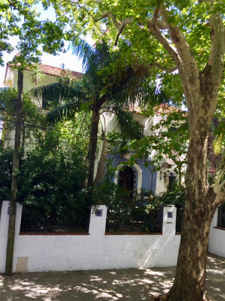 Так вот ты какой, Меркосур! (Аргентина-Бразилия-Уругвай 15.02-12.03.2019)