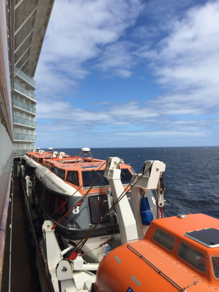 Бразилия без диких обезьян (Celebrity Eclipse 17-27 февраля) Бразилия без диких обезьян (Celebrity Eclipse 17-27 февраля)