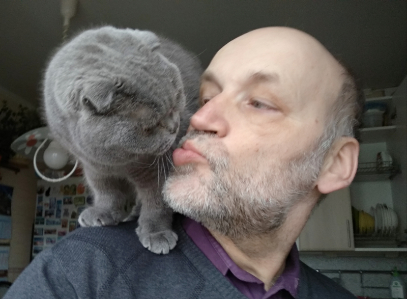 Кошки в нашей жизни. Кошки и все, что с ними связано.