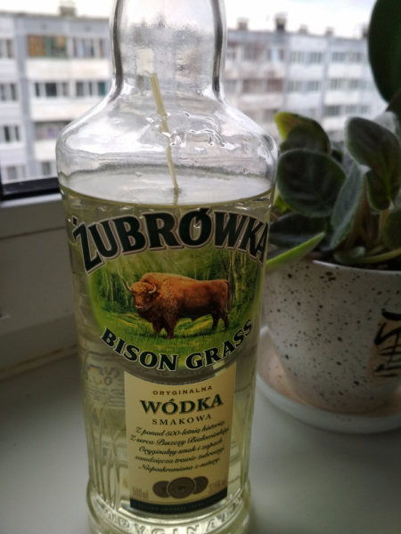 Тратата, мы везём с собой кота, и ещё с собой кота, и ещё собаку (авто, Европа, 30000 км)