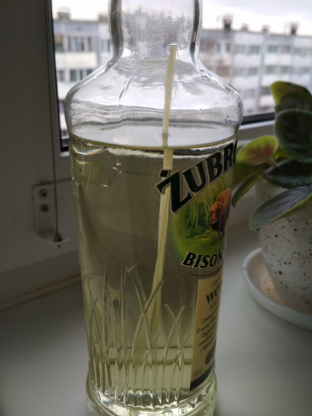 Тратата, мы везём с собой кота, и ещё с собой кота, и ещё собаку (авто, Европа, 30000 км)