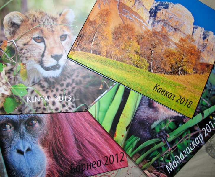 Возвращение в мир удивительной природы пять лет спустя