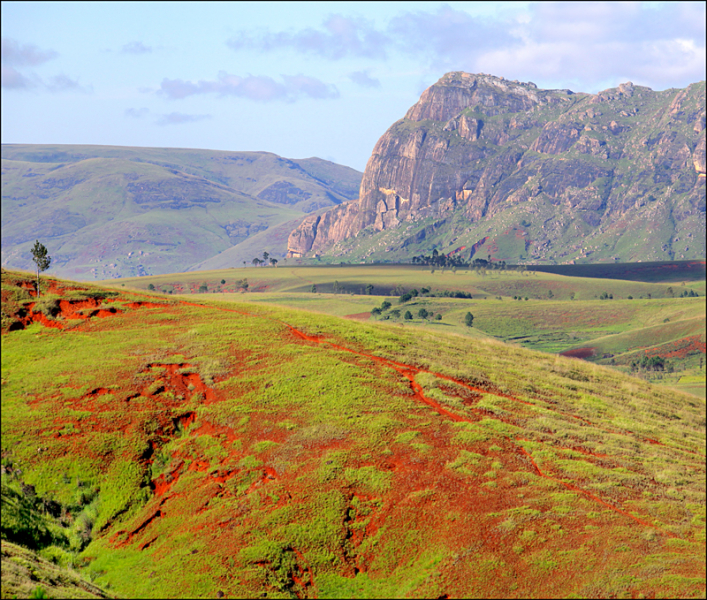 Возвращение в мир удивительной природы пять лет спустя