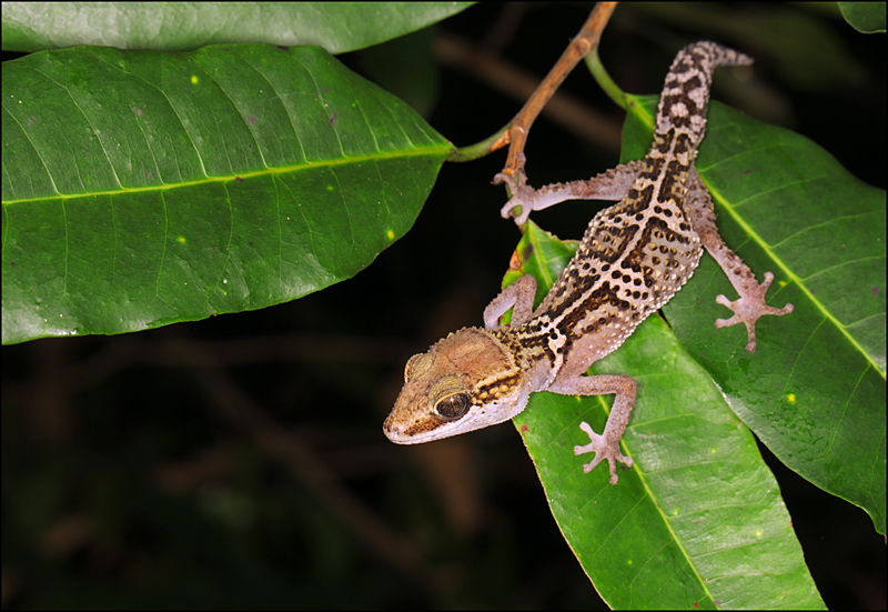 Возвращение в мир удивительной природы пять лет спустя