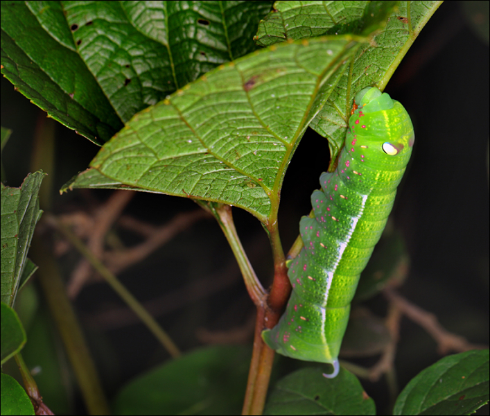 Возвращение в мир удивительной природы пять лет спустя