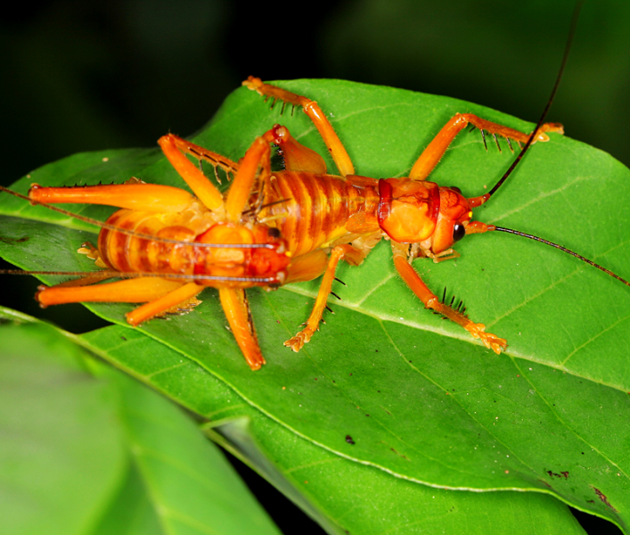 Возвращение в мир удивительной природы пять лет спустя