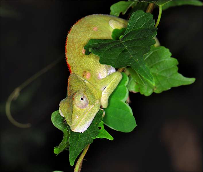 Возвращение в мир удивительной природы пять лет спустя