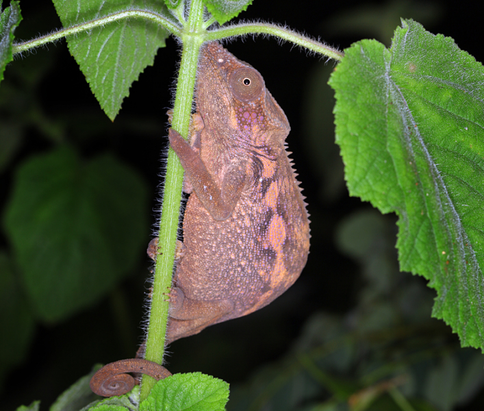 Возвращение в мир удивительной природы пять лет спустя