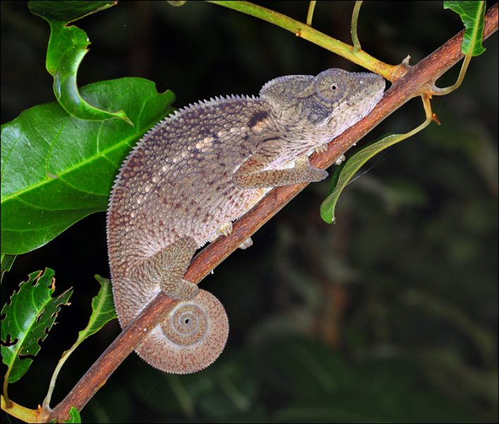 Возвращение в мир удивительной природы пять лет спустя