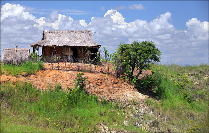 Возвращение в мир удивительной природы пять лет спустя