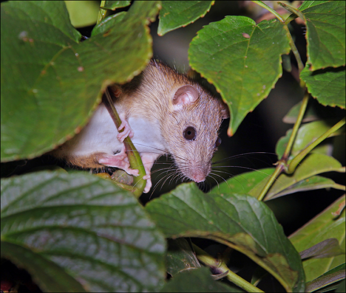 Возвращение в мир удивительной природы пять лет спустя