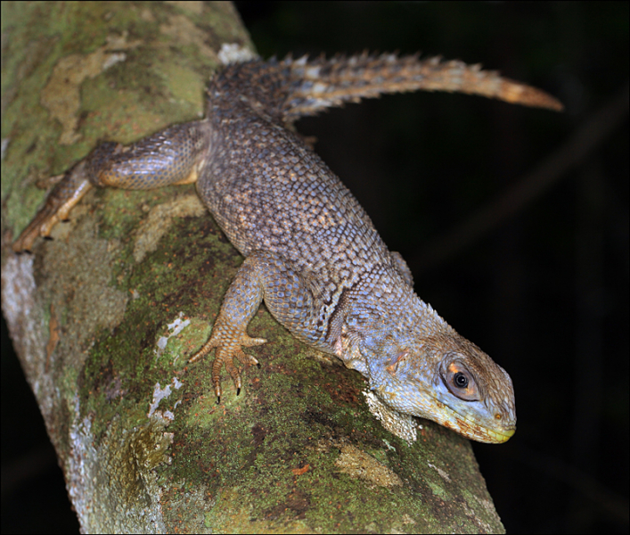 Возвращение в мир удивительной природы пять лет спустя