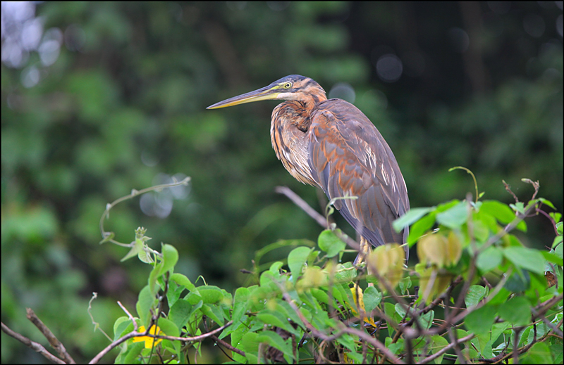 Возвращение в мир удивительной природы пять лет спустя