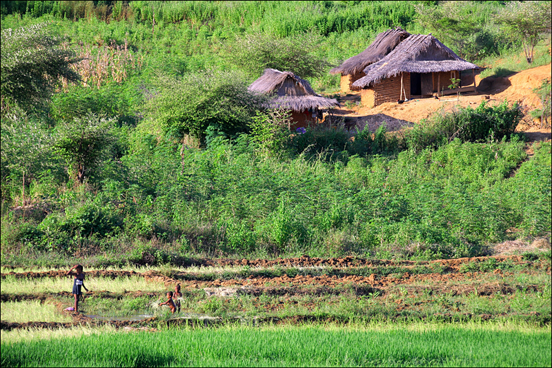 Возвращение в мир удивительной природы пять лет спустя