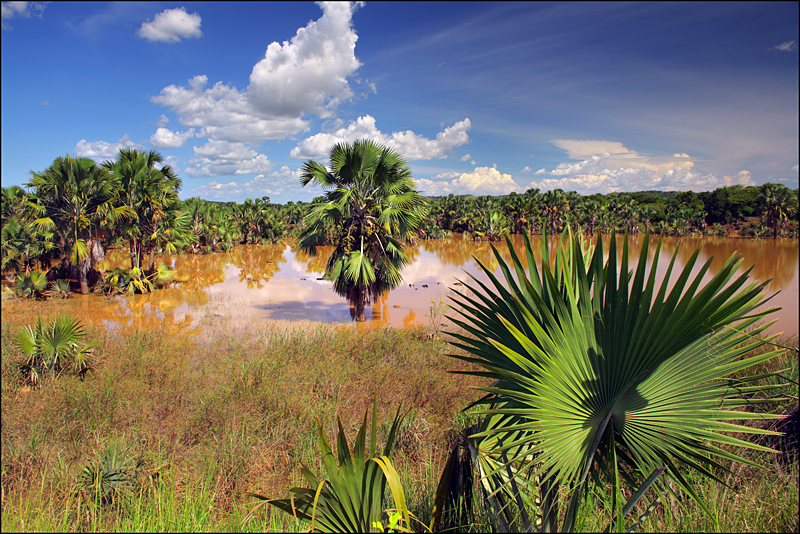 Возвращение в мир удивительной природы пять лет спустя