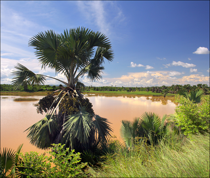 Возвращение в мир удивительной природы пять лет спустя