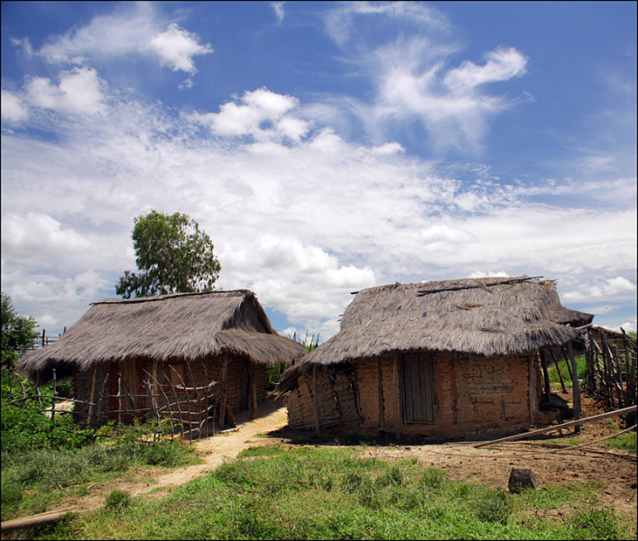 Возвращение в мир удивительной природы пять лет спустя