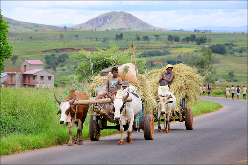 Возвращение в мир удивительной природы пять лет спустя