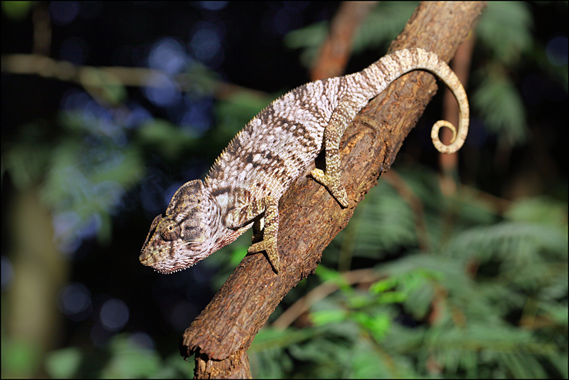 Возвращение в мир удивительной природы пять лет спустя
