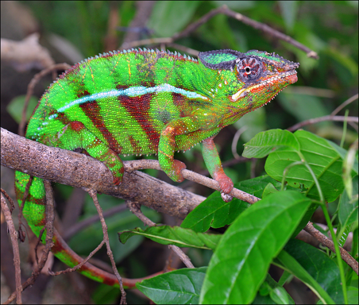 Возвращение в мир удивительной природы пять лет спустя