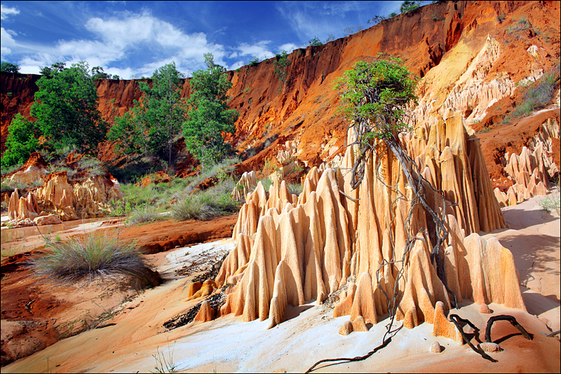 Возвращение в мир удивительной природы пять лет спустя