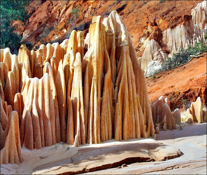 Возвращение в мир удивительной природы пять лет спустя