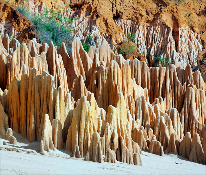 Возвращение в мир удивительной природы пять лет спустя
