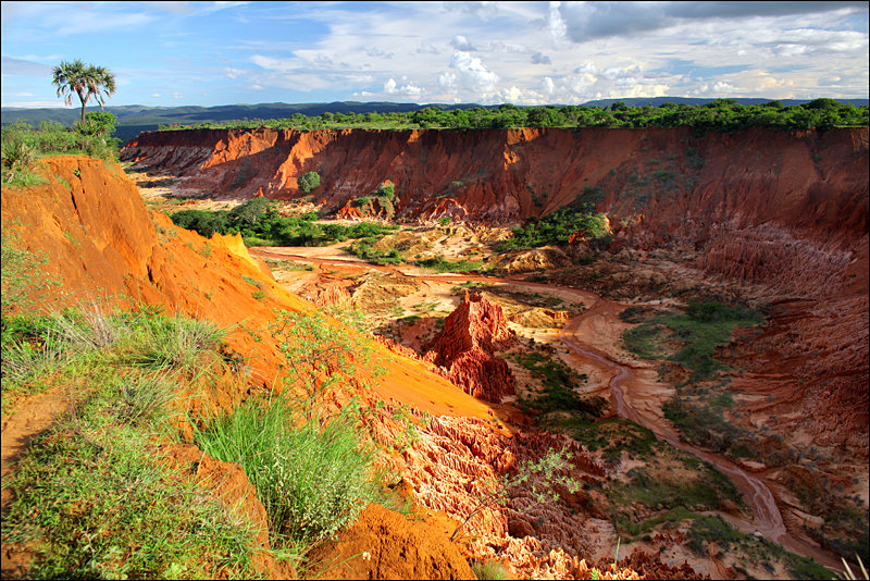 Возвращение в мир удивительной природы пять лет спустя