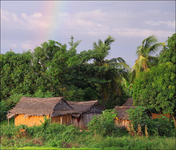 Возвращение в мир удивительной природы пять лет спустя