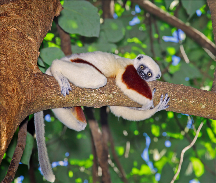 Возвращение в мир удивительной природы пять лет спустя