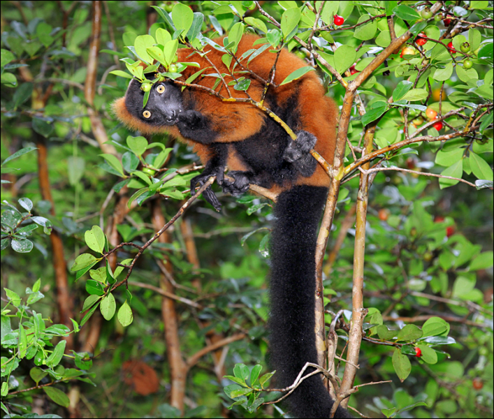 Возвращение в мир удивительной природы пять лет спустя