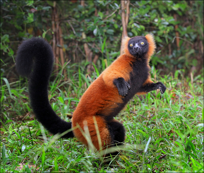 Возвращение в мир удивительной природы пять лет спустя