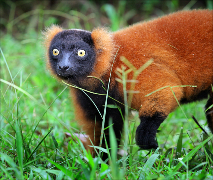 Возвращение в мир удивительной природы пять лет спустя