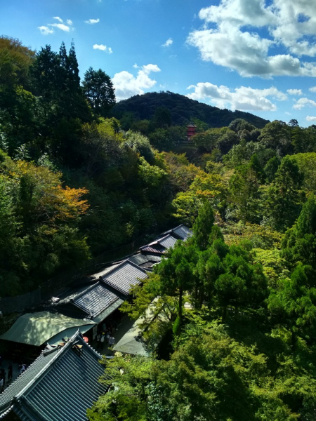 Первая поездка в Японию. Октябрь 2018