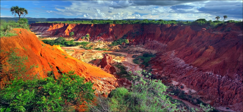 Возвращение в мир удивительной природы пять лет спустя