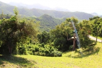 Сент Мартин