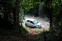 Сент Мартин