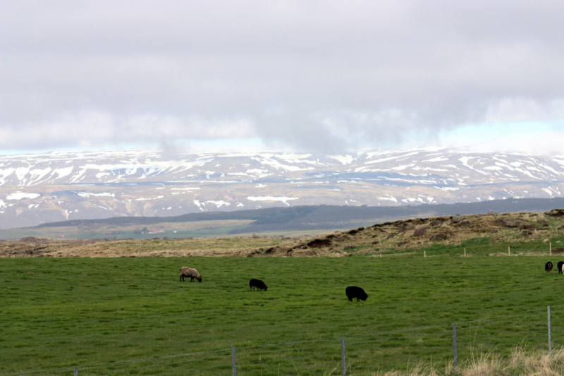 Солнечная Исландия по кольцевой дороге, 30 мая - 10 июня 2018 года