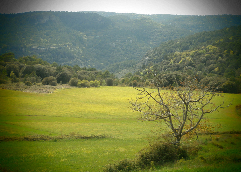 Горы Прадес (Muntanyes de Prades)