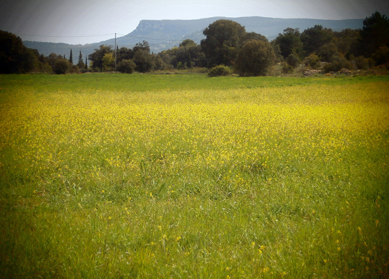 Горы Прадес (Muntanyes de Prades)