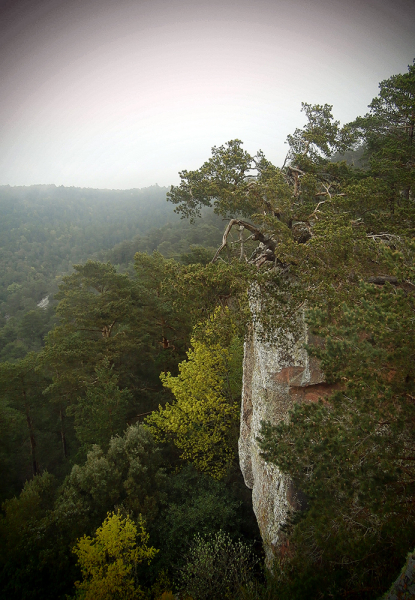 Горы Прадес (Muntanyes de Prades)