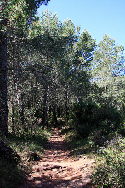 Горы Прадес (Muntanyes de Prades)