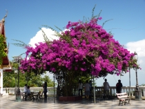 С Севера на Юг Сукхотай-Чианг Май- Пхукет-Краби