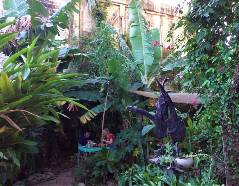 16 дней на разграбление Мексики. И ограбление по-мексикански как алаверды. 2019, февраль