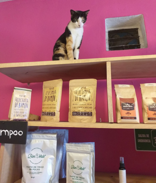 16 дней на разграбление Мексики. И ограбление по-мексикански как алаверды. 2019, февраль