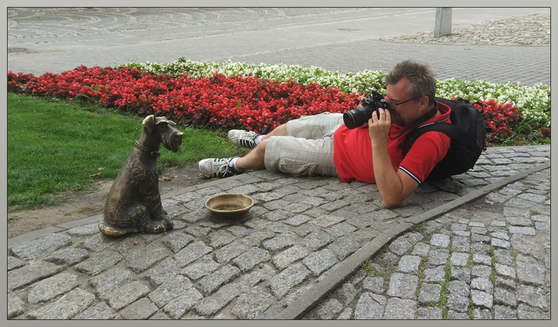 Przemyśl. Ничего не положили в миску? Не грусти, скоро приедет автобус с китайцами!