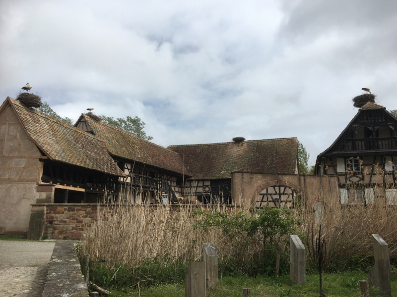 Эльзас: советы по маршруту.