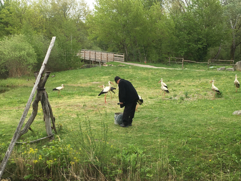 Эльзас: советы по маршруту.
