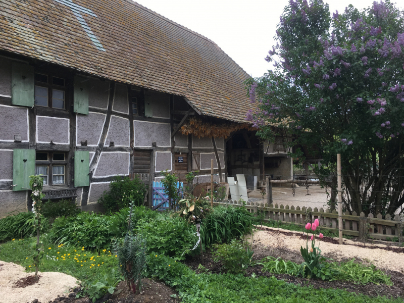 Эльзас: советы по маршруту.